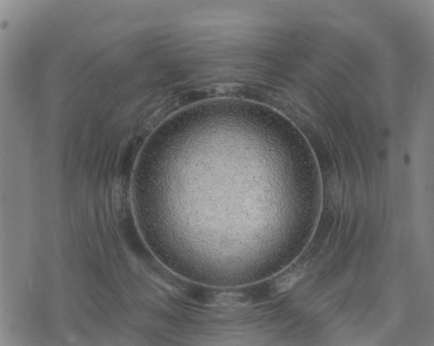 X0000074220222200609011225