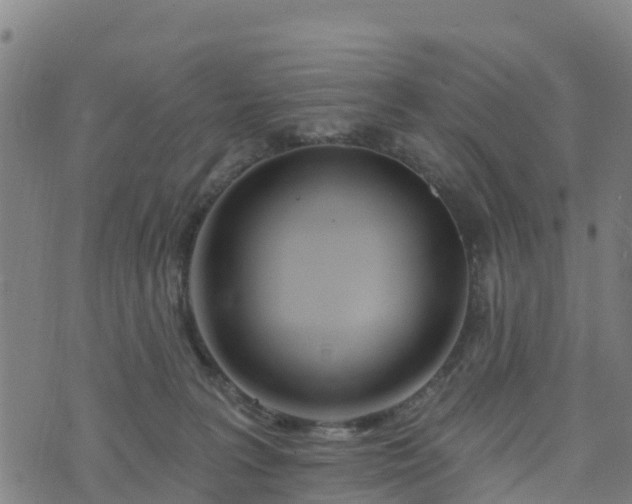 X0000074220227200609011225