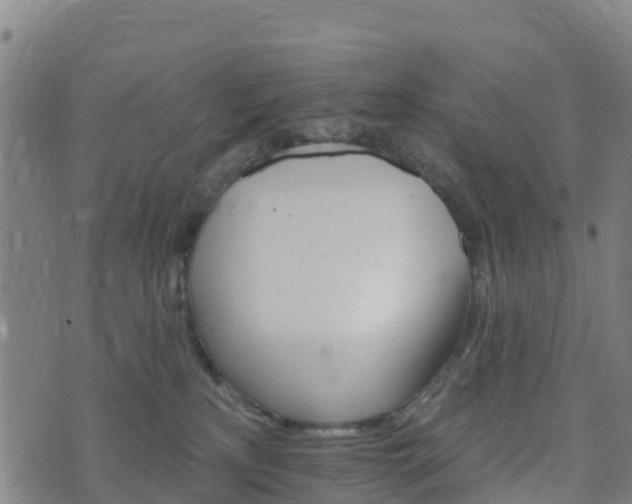 X0000074220233200609011225