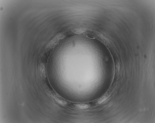 X0000074220234200609011225