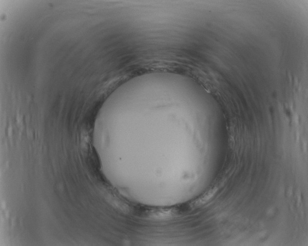 X0000074220235200609011225