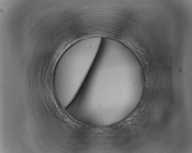 X0000074220241200609011224