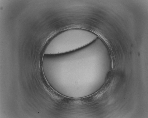 X0000074220253200609011224