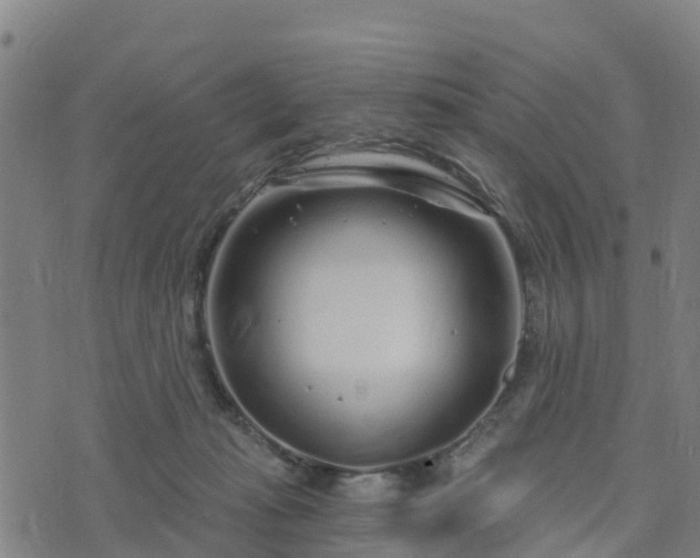 X0000074220269200609011224