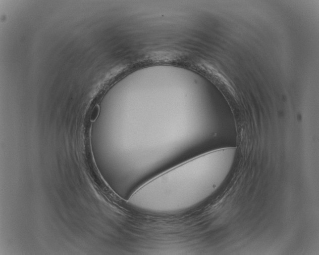 X0000074220492200609011220