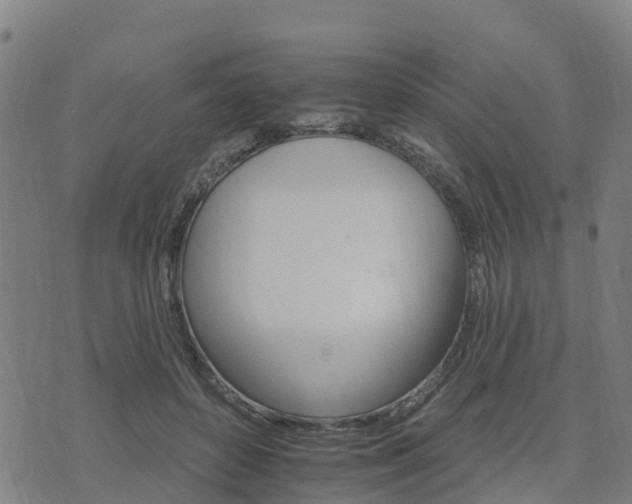 X0000074220504200609011220