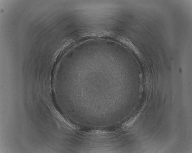 X0000074220585200609011219
