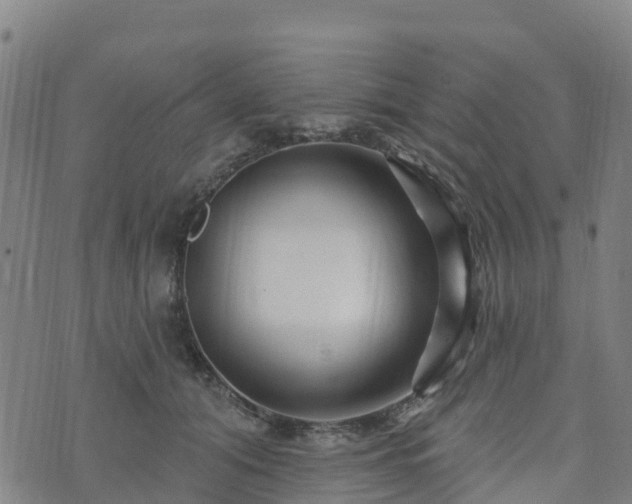 X0000074220608200609011218