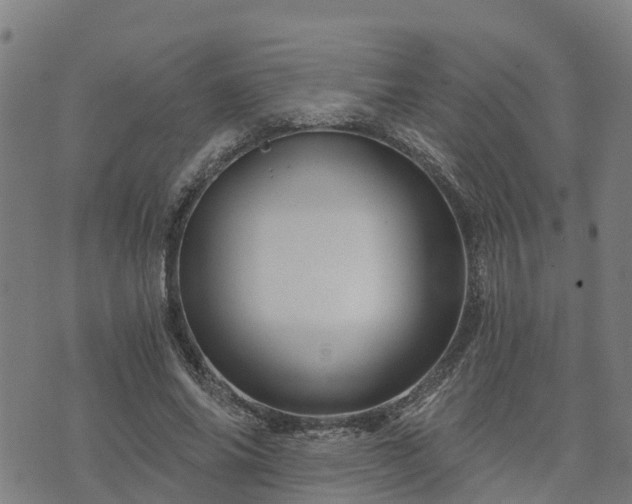 X0000074220686200609011217