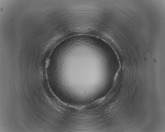 X0000074220688200609011217