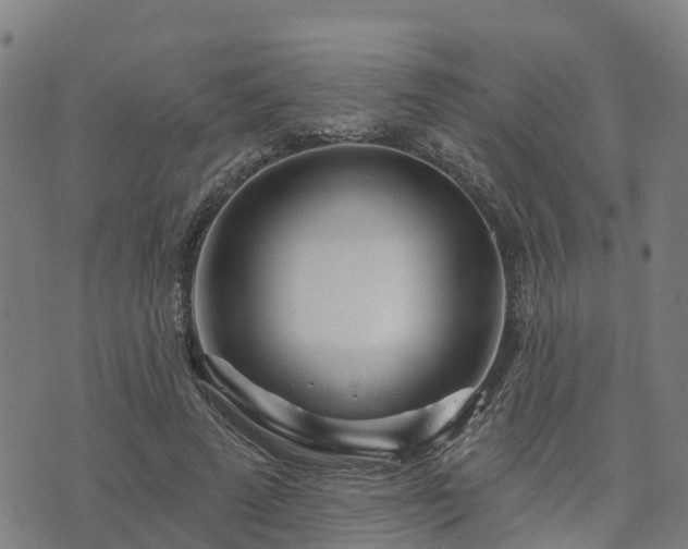 X0000074220689200609011217