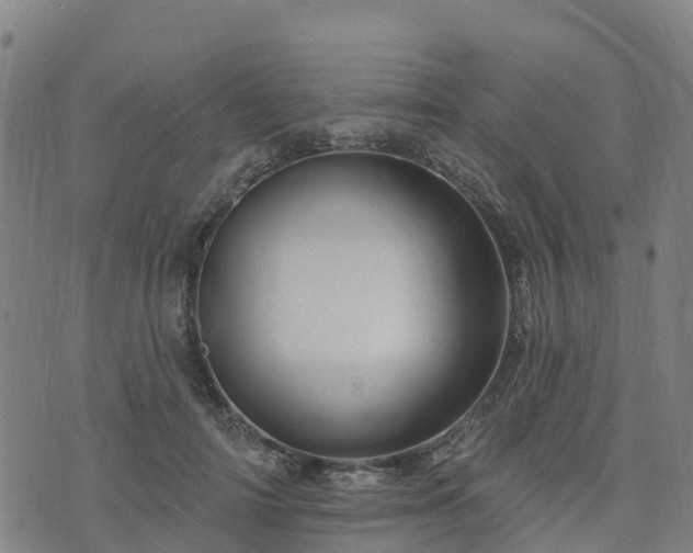 X0000074220698200609011217