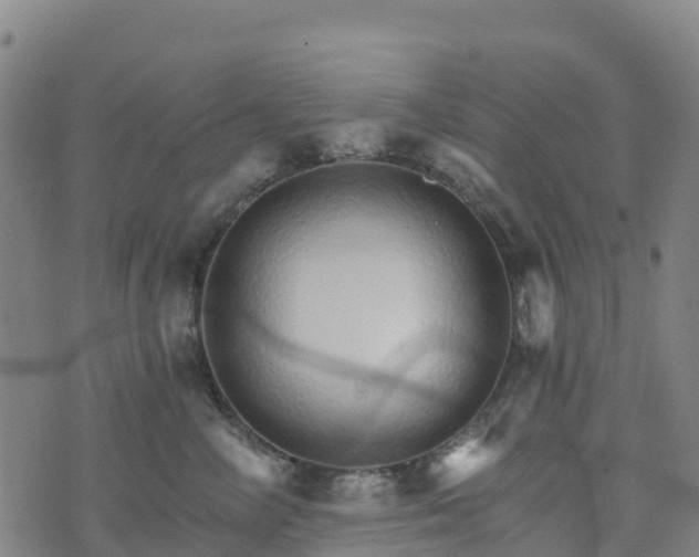 X0000074220714200609011217