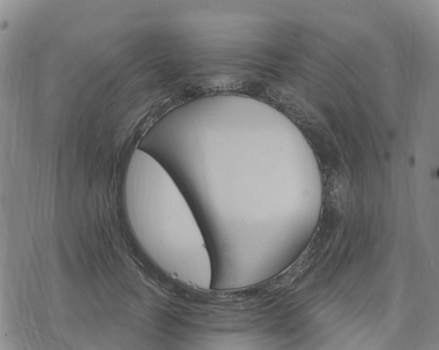 X0000074220746200609011216