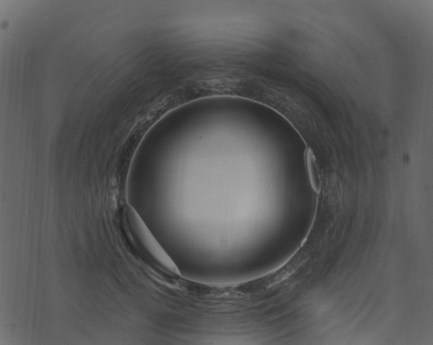 X0000074220752200609011216