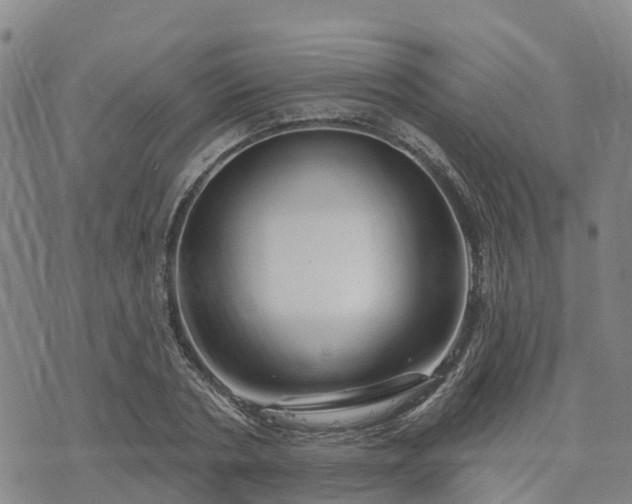 X0000074220786200609011216