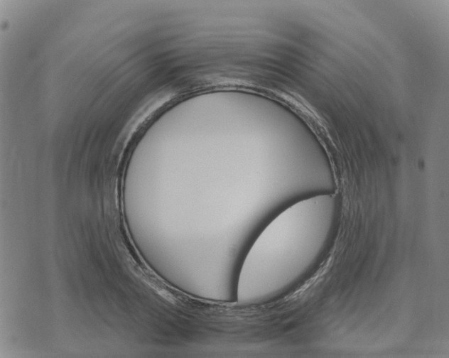 X0000074220790200609011215