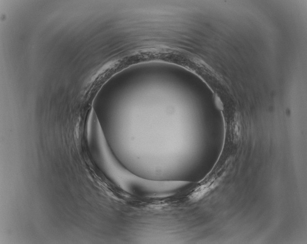 X0000074220822200609011214