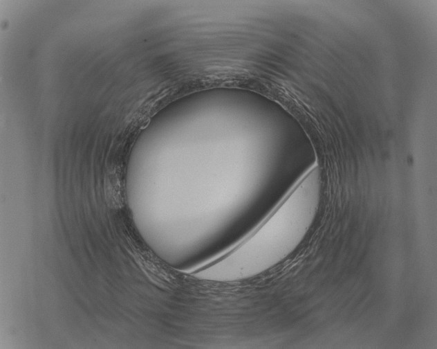 X0000074220868200609011214