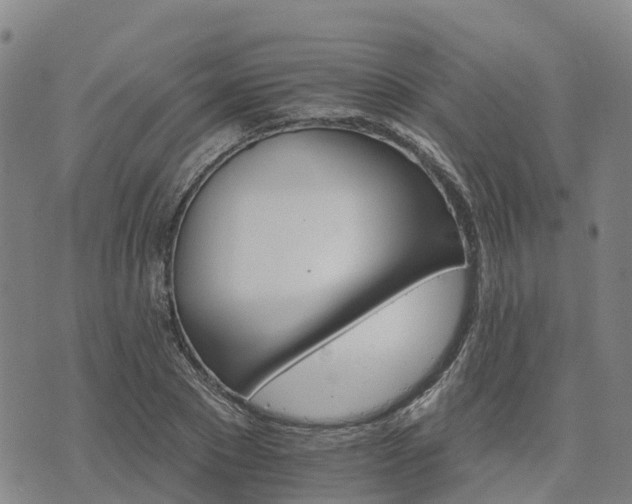 X0000074220881200609011214