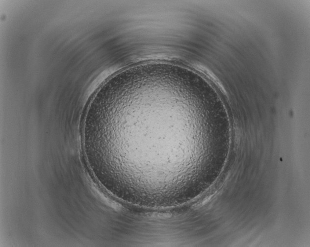 X0000074220890200609011214