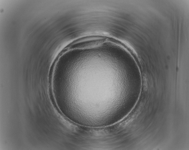 X0000074220895200609011214