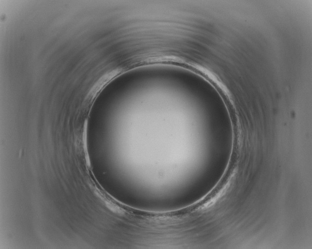 X0000074220897200609011214