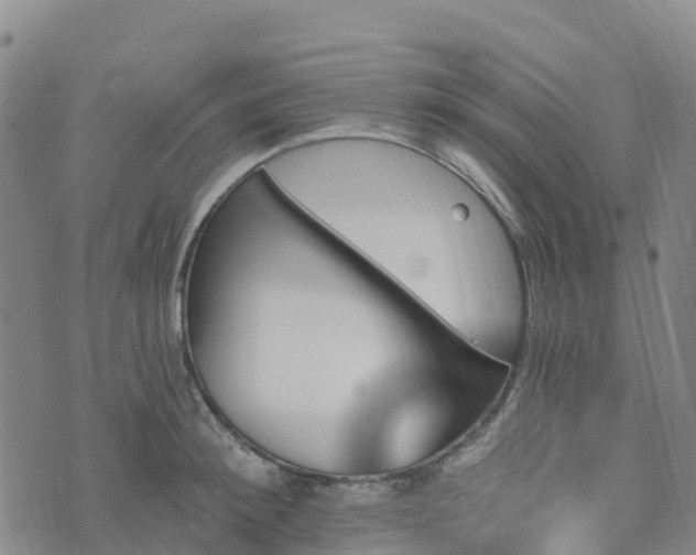 X0000074220900200609011214
