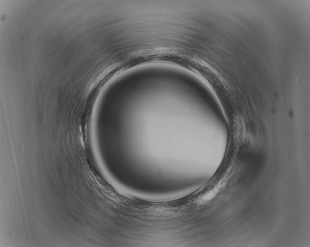 X0000074220921200609011213