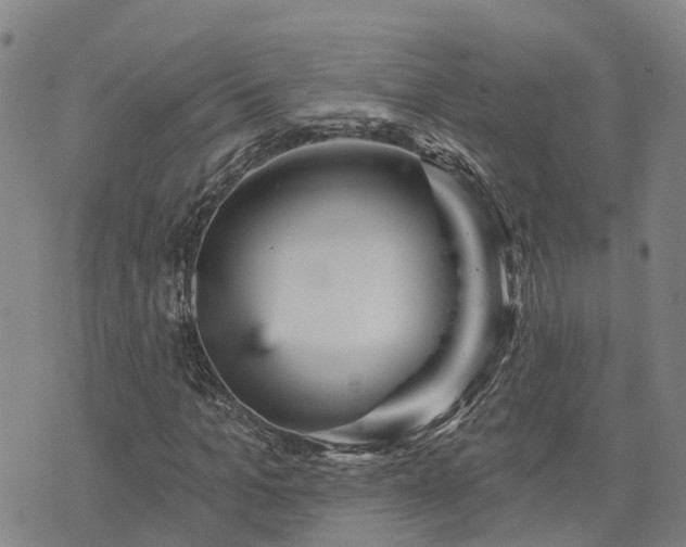 X0000074220965200609011213