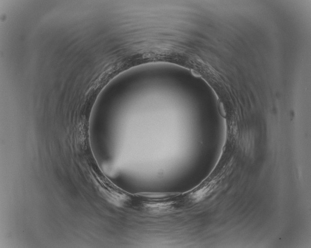 X0000074221012200609011211