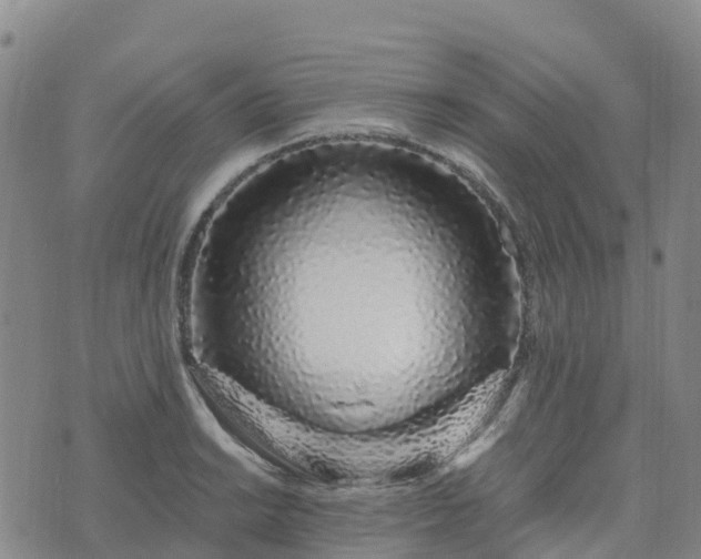 X0000074221038200609011212