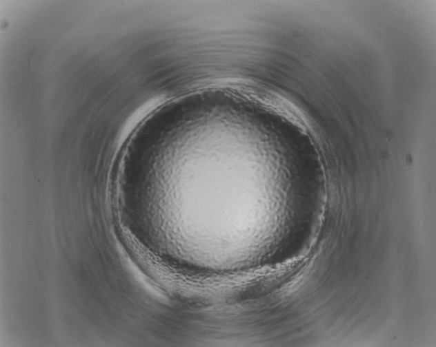 X0000074221050200609011212