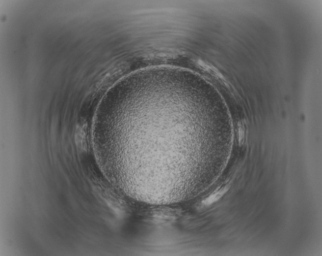 X0000074221059200609011211