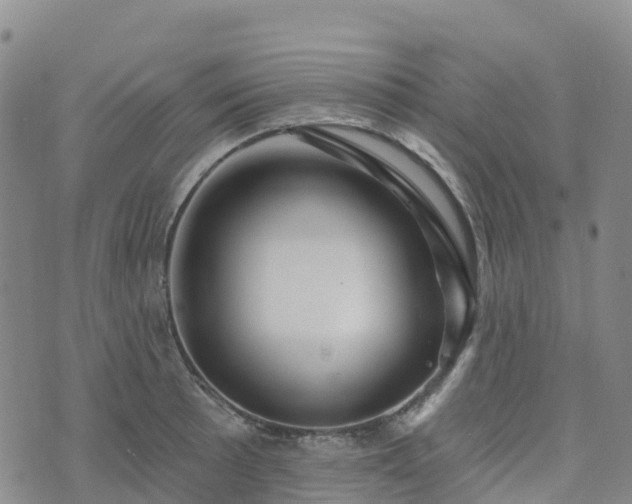 X0000074221089200609011211
