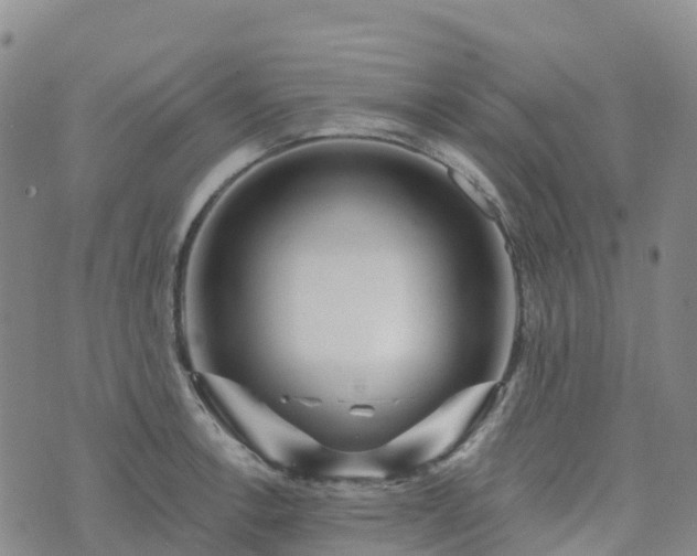 X0000074221138200609011210