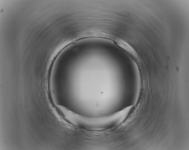 X0000074221144200609011210