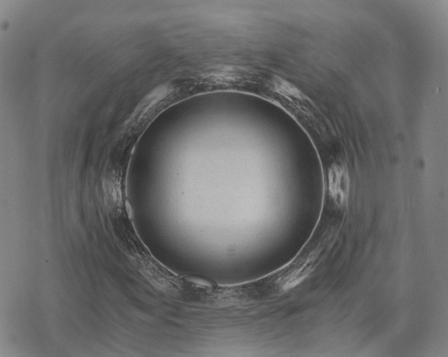 X0000074221155200609011209