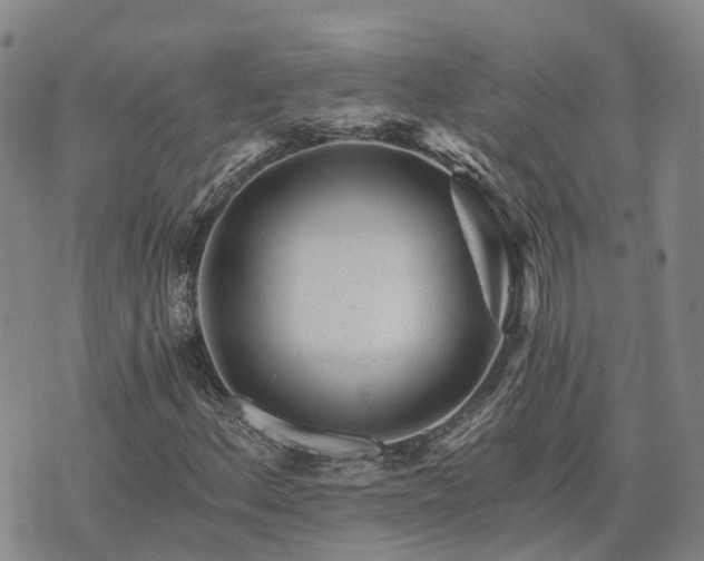 X0000074221156200609011209