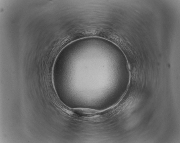 X0000074221201200609011208