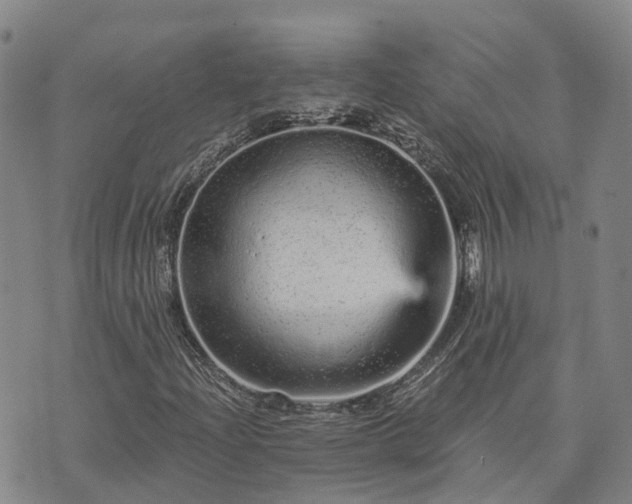 X0000074221204200609011208