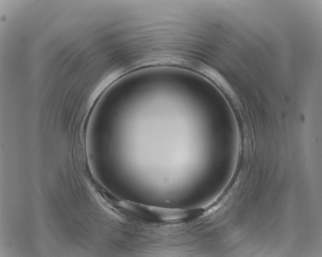 X0000074221242200609011209