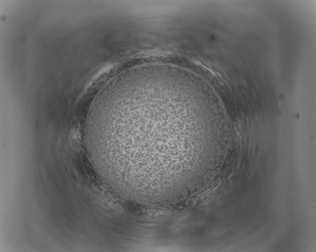 X0000074221254200609011208