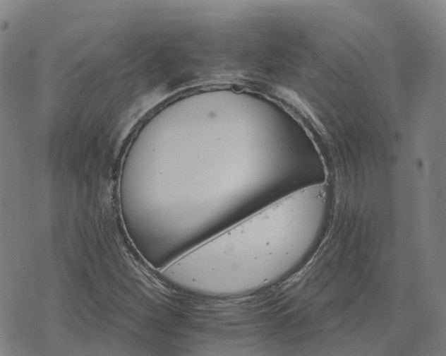 X0000074221260200609011208