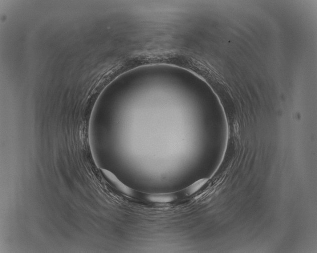 X0000074221300200609011206