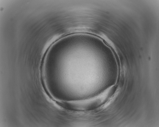 X0000074221341200609011207