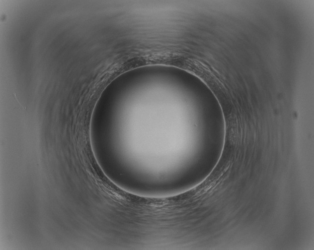 X0000074221345200609011206