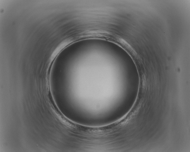 X0000074221370200609011206