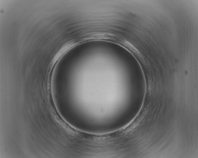 X0000074221378200609011206