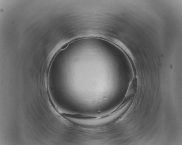 X0000074221388200609011206